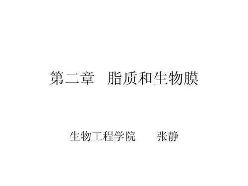 第二章 脂化学