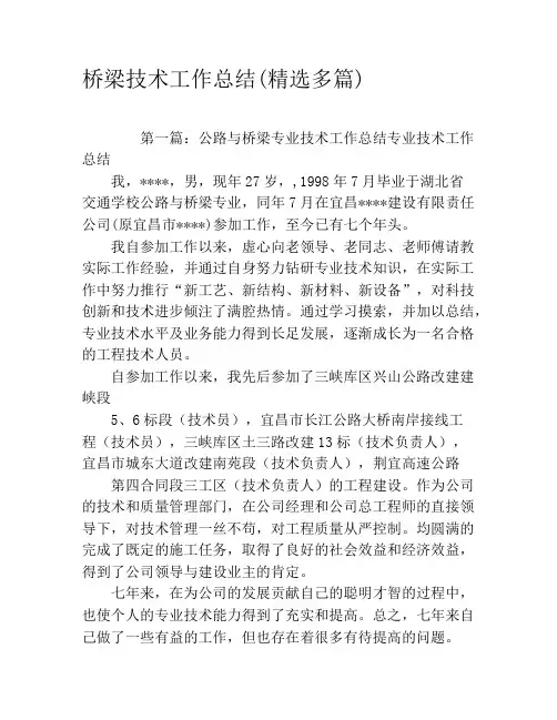 桥梁技术工作总结(精选多篇)