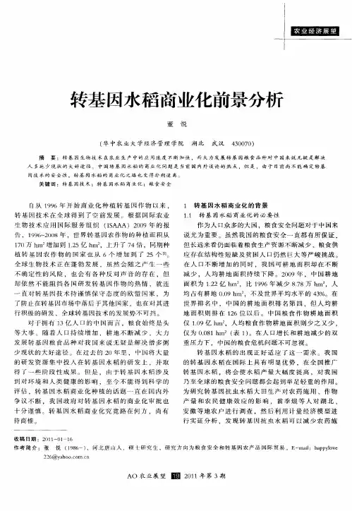 转基因水稻商业化前景分析