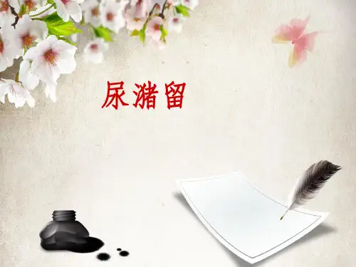 《尿潴留的护理》PPT课件