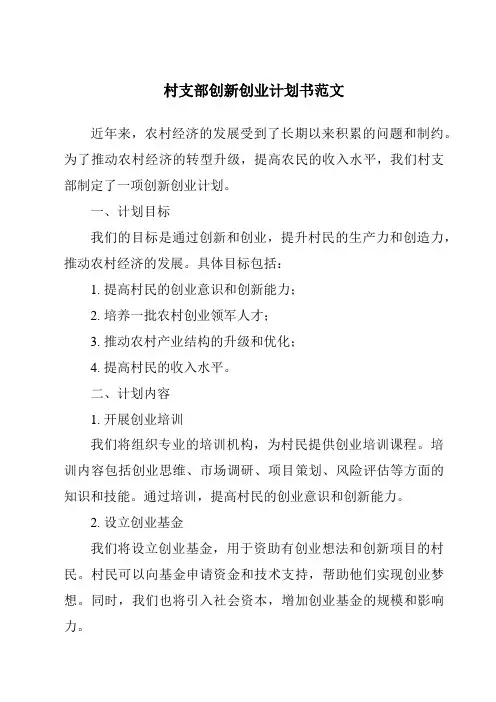 村支部创新创业计划书范文