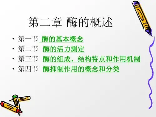 第二章 酶的基础