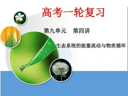 9-4 生态系统能量流动和物质循环