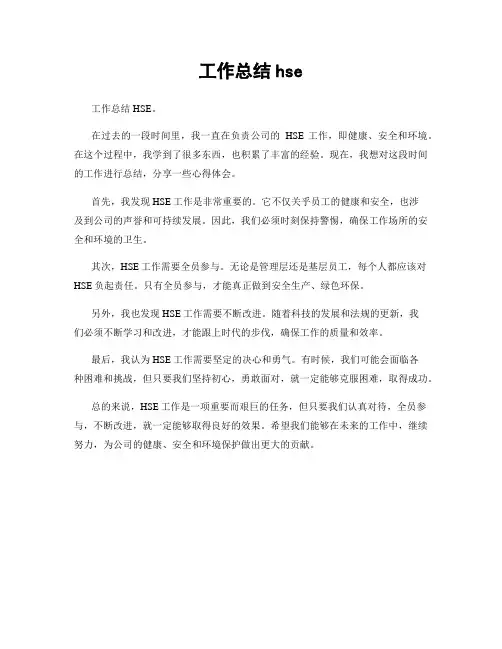 工作总结hse