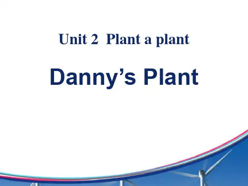 冀教版八年级下册英语《Danny's Plant》Plant a Plant 教学说课