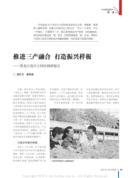 推进三产融合 打造振兴样板——黑龙江省兴十四村调研报告