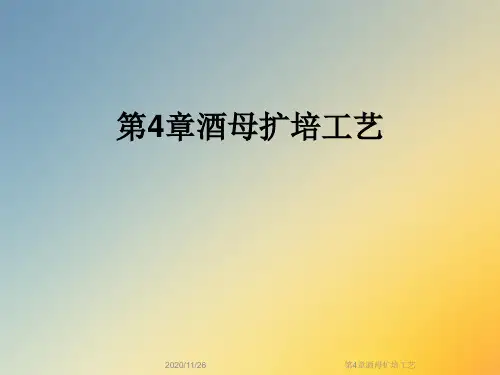 第4章酒母扩培工艺