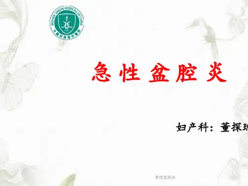 急性盆腔炎PPT课件
