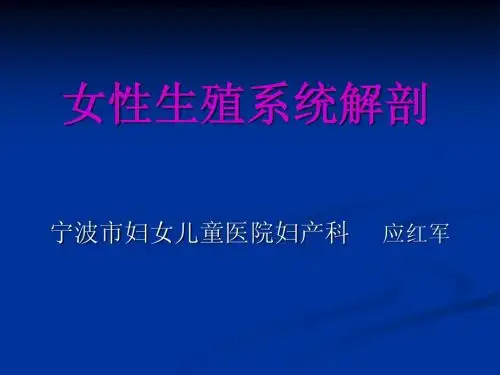 女性生殖系统解剖