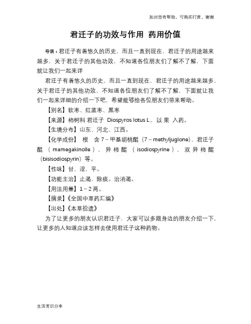 君迁子的功效与作用 药用价值