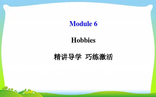 外研版八年级英语下册Module 6 Hobbies精品课件(共104张PPT)