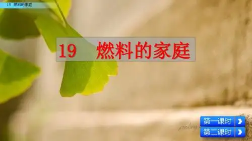 西师大版小学五年级下册语文课件-燃料的家庭