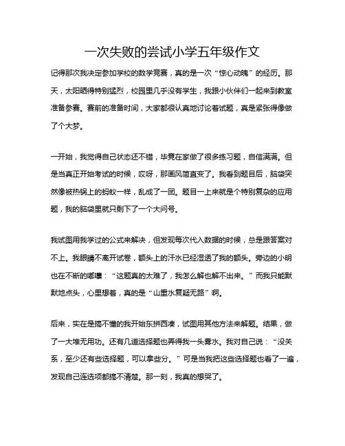 一次失败的尝试小学五年级作文