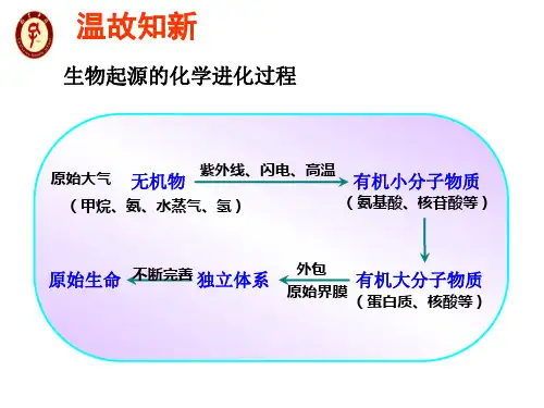 济南版八年级生物下册5. 生物进化的证据 课件