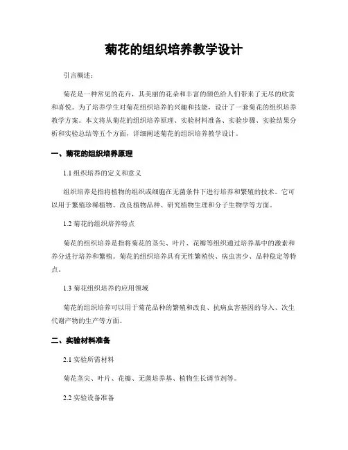 菊花的组织培养教学设计