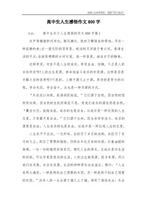 高中生人生感悟作文800字