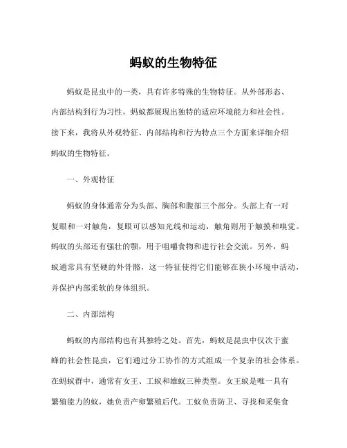 蚂蚁的生物特征