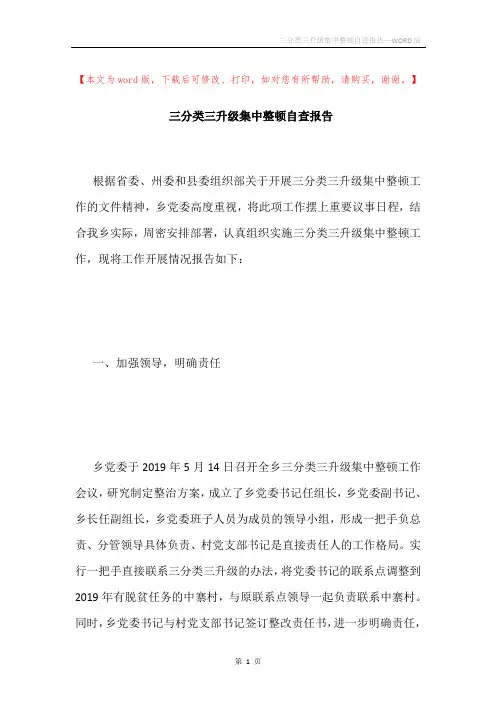 三分类三升级集中整顿自查报告
