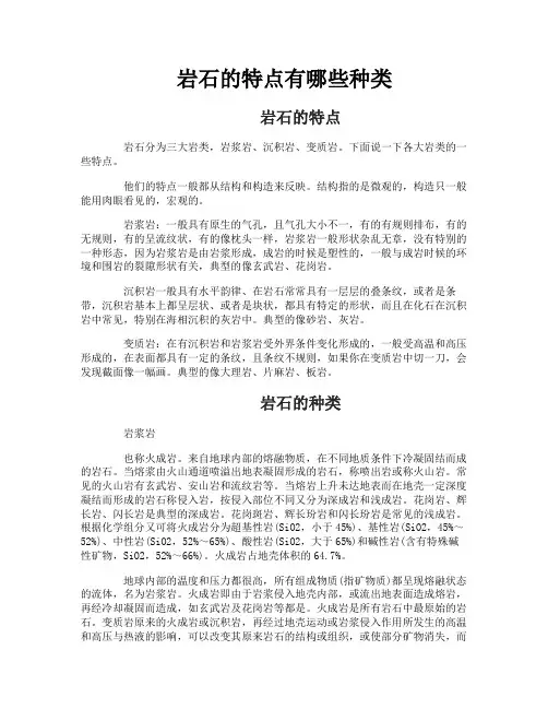 岩石的特点有哪些种类