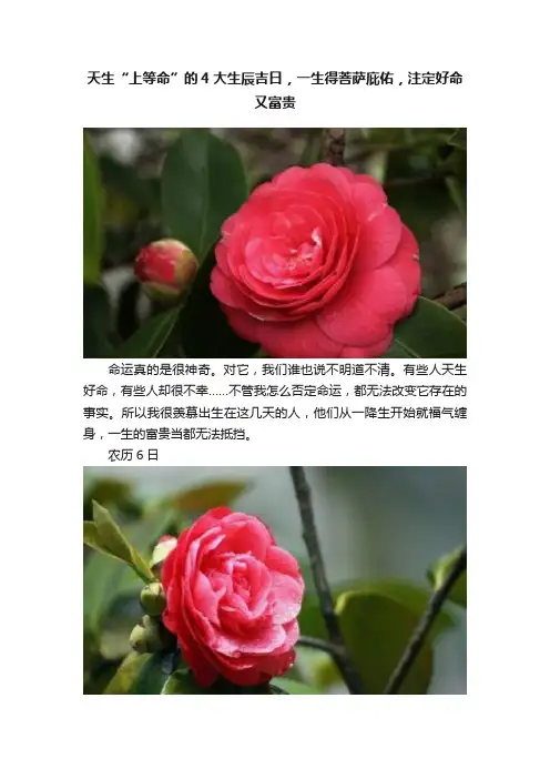 天生“上等命”的4大生辰吉日，一生得菩萨庇佑，注定好命又富贵