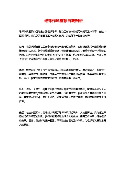 纪律作风整顿自我剖析 (2)
