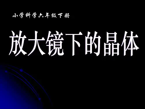 六年级下册科学课件 -1.3 放大镜下的晶体｜ 教科版 (共28张PPT)