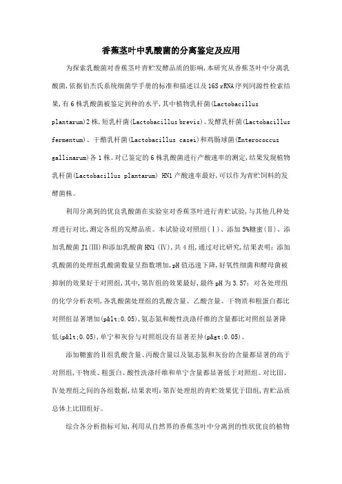 香蕉茎叶中乳酸菌的分离鉴定及应用