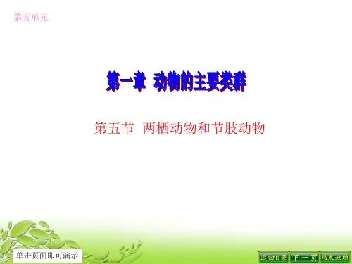 第五节 两栖动物和爬行动物