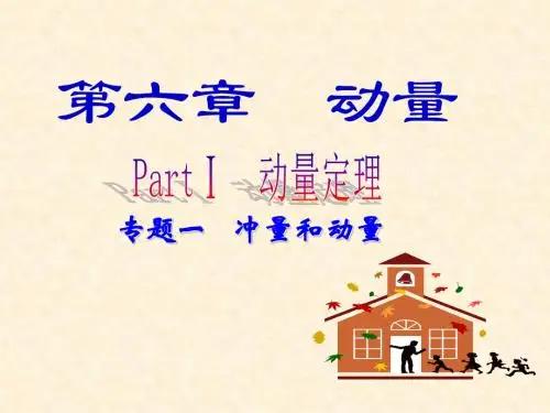 高考物理专题一：冲量和动量