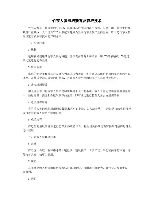 竹节人参组培繁育及栽培技术