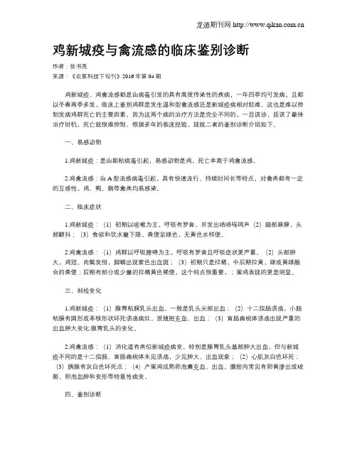 鸡新城疫与禽流感的临床鉴别诊断