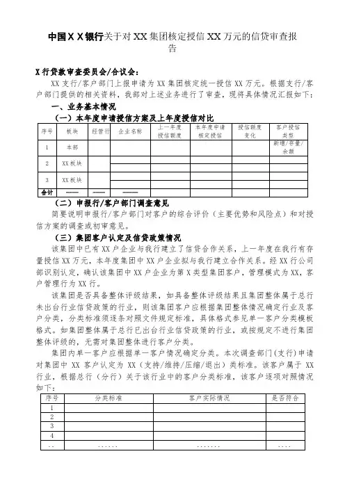 银行关于对XX集团核定授信XX万元的信贷审查报告