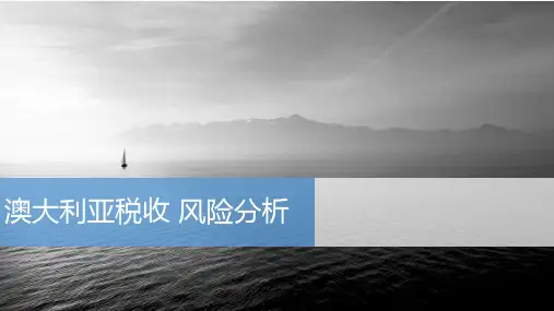 澳大利亚税收风险分析