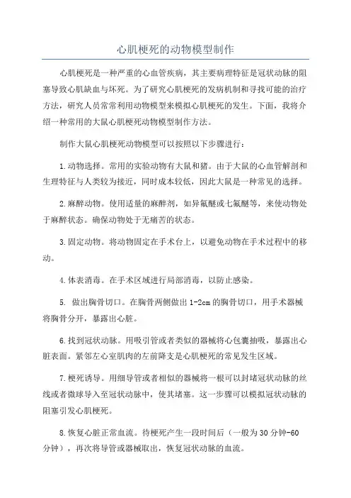 心肌梗死的动物模型制作