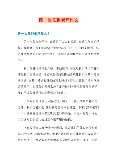 第一次见到老师作文 2