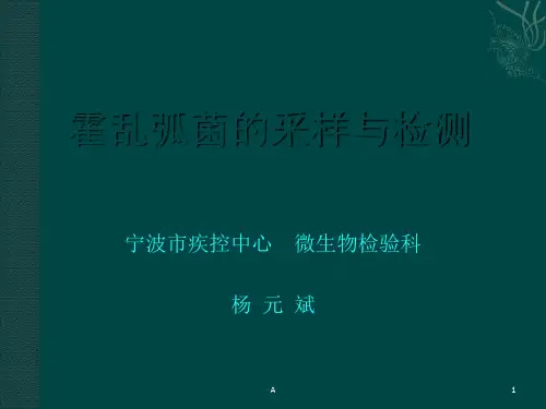 霍乱弧菌检测