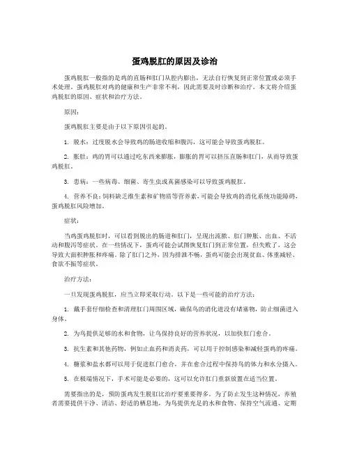 蛋鸡脱肛的原因及诊治