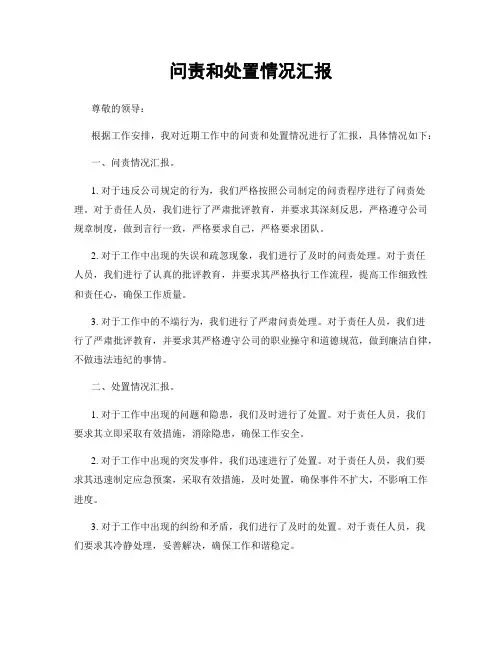 问责和处置情况汇报