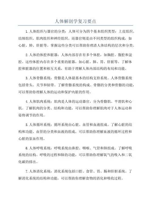 人体解剖学复习要点
