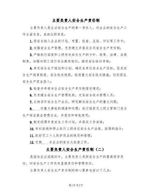 主要负责人安全生产责任制(五篇)