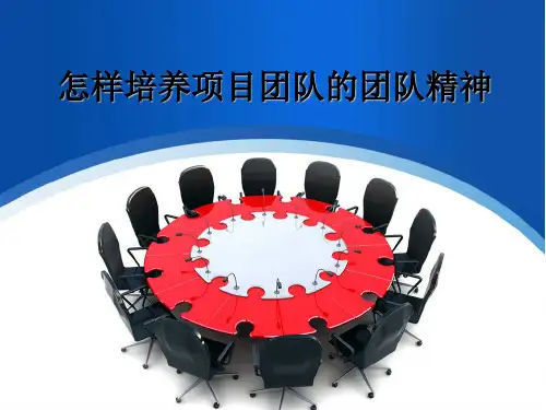 项目管理学  培养项目团队的团队精神
