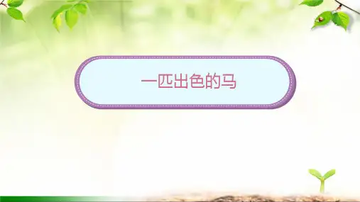 《一匹出色的马》ppt课件