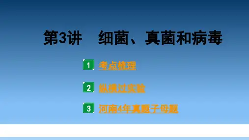 初中生物 第五单元  细菌、真菌和病毒