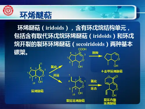 知识点 环烯醚萜