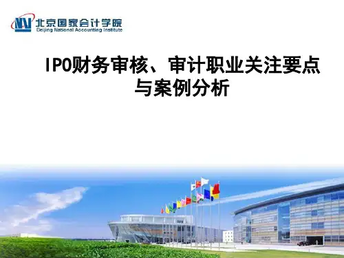IPO财务审核基本思路与分析PPT课件