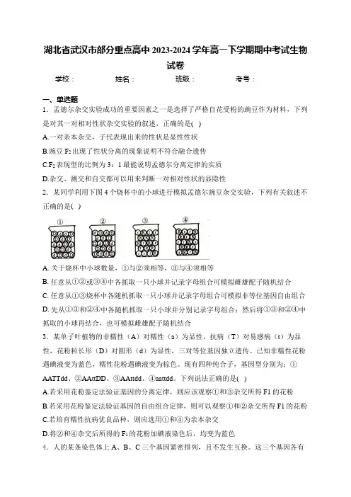 湖北省武汉市部分重点高中2023-2024学年高一下学期期中考试生物试卷(含答案)