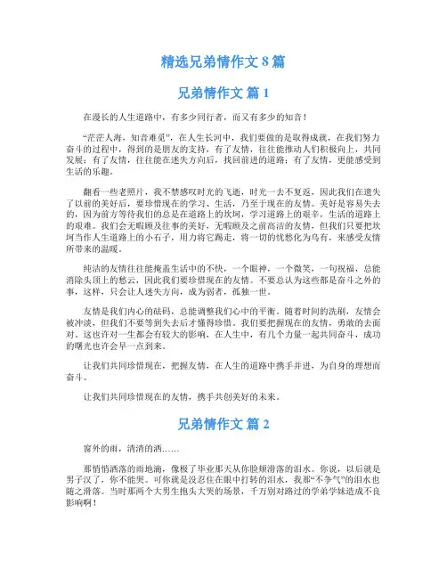 精选兄弟情作文8篇