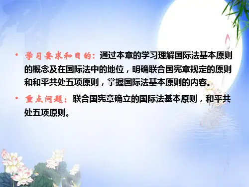 国际法的基本原则ppt