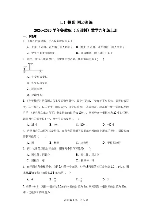 4.1投影+同步训练2024-2025学年鲁教版(五四制)数学九年级上册