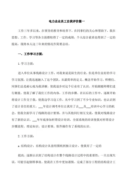 电力企业员工自我评价